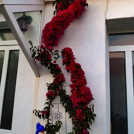 Snjezana Apartment